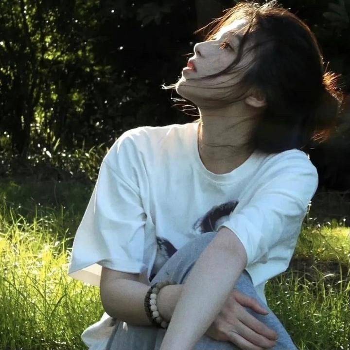 美国派:高潮再起 海报